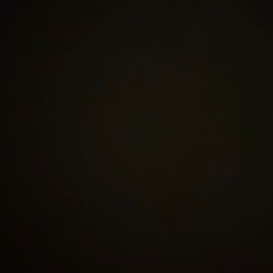 Meet your Posher, Bella